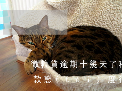 微粒貸逾期十幾天了私人號(hào)碼催款態(tài)度很強(qiáng)硬（微粒貸逾期了十幾天）