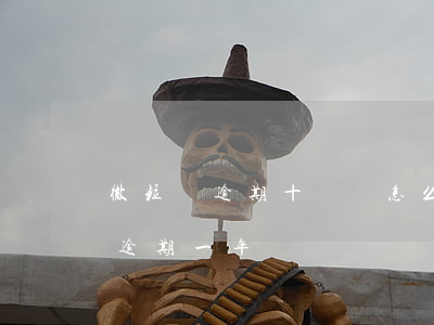 微粒貸逾期十幾萬怎么辦(微粒貸5000多逾期一年)