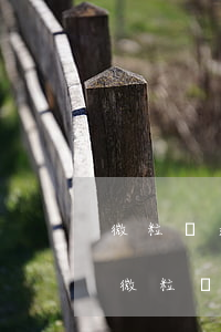 微粒貸逾期半個(gè)月還款沒影響嗎-微粒貸逾期半個(gè)月還款沒影響嗎怎么辦