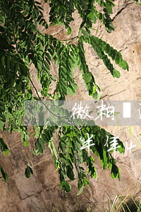 微粒貸逾期半年,4萬(wàn)(微粒貸逾期半年,4萬(wàn),可以只還本金嗎?)