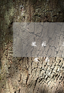 微粒貸逾期半年起訴了會(huì)怎么樣(微粒貸逾期半個(gè)月說起訴我?)