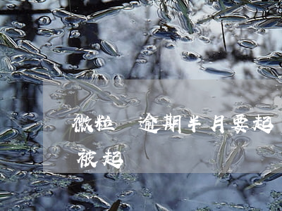 微粒貸逾期半月要起訴 微粒貸逾期45天要被起訴