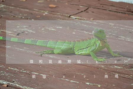微粒貸逾期協(xié)商也還不了(微粒貸能協(xié)商嗎)
