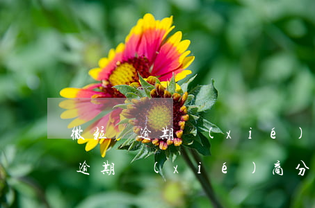微粒貸逾期協(xié)商分期60(微粒貸逾期協(xié)商分期后征信是不是每個(gè)月都會(huì)有當(dāng)前逾期)