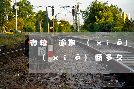 微粒貸逾期協(xié)商多久(微粒貸逾期協(xié)商多久)