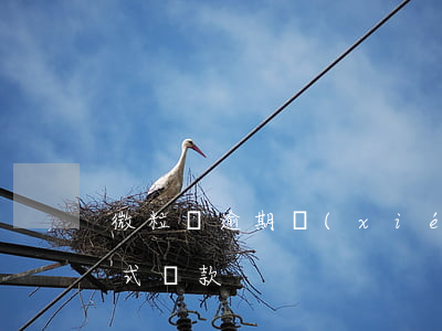 微粒貸逾期協(xié)商成功后以什么方式還款