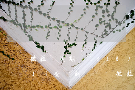 微粒貸逾期協(xié)商成功平臺(tái)查詢到記錄-微粒貸逾期結(jié)果