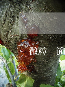 微粒貸逾期協(xié)商成功有材料證明嗎