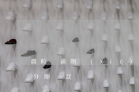微粒貸逾期協(xié)商有息分期(微粒貸分期還款)