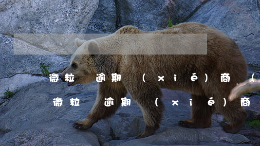 微粒貸逾期協(xié)商結(jié)清(微粒貸逾期協(xié)商還款)