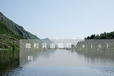 微粒貸逾期協(xié)商還款需要哪些材料