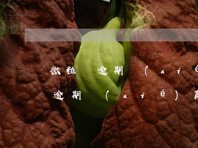 微粒貸逾期協(xié)商靈活還款(微粒貸逾期協(xié)商全額還款)