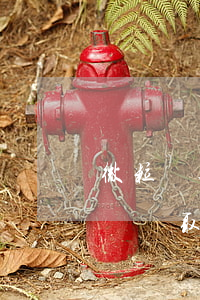 微粒貸逾期取消分期還款(微粒貸逾期多長時間會取消分期強(qiáng)制結(jié)清)