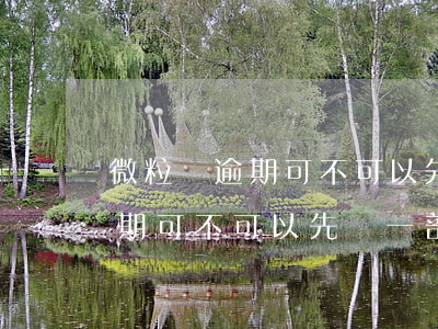 微粒貸逾期可不可以先還一部分-微粒貸逾期可不可以先還一部分本金