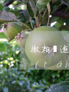 微粒貸逾期可以坐動(dòng)車嗎(平臺(tái)貸款逾期可以坐高鐵嗎)