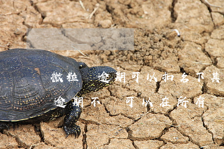 微粒貸逾期可以扣名下其他銀行卡-微粒貸逾期不還,可以在所有銀行卡扣款嗎