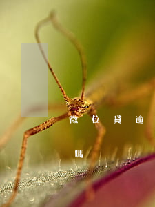 微粒貸逾期可以減免利息(微粒貸有減免政策嗎)