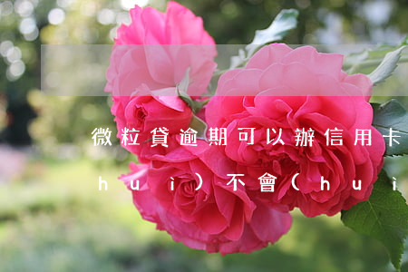 微粒貸逾期可以辦信用卡嗎(借過微粒貸會(huì)不會(huì)辦不了信用卡)