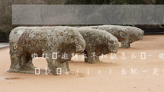 微粒貸逾期后不扣款怎么辦-微粒貸逾期了還款進(jìn)去就一定借不出來(lái)了嗎