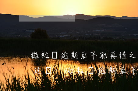 微粒貸逾期后不能再借,之后會(huì)開通嗎-微粒貸逾期后不能再借,之后會(huì)開通嗎