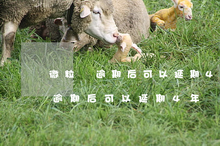 微粒貸逾期后可以延期4年還款嗎-微粒貸逾期后可以延期4年還款嗎