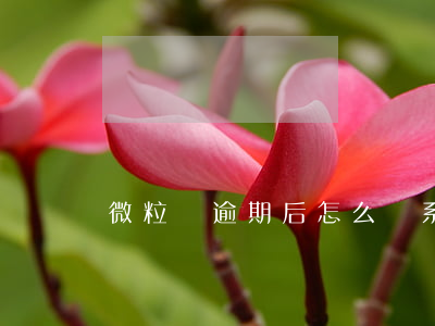 微粒貸逾期后怎么聯系申請減免-