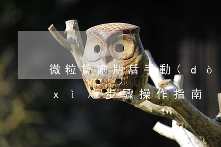 微粒貸逾期后手動(dòng)還款詳細(xì)步驟，操作指南