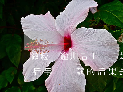 微粒貸逾期后手動還款會怎么樣，微粒貸逾期后手動還款的后果是什么？