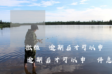 微粒貸逾期后才可以申請停息掛賬-微粒貸逾期后才可以申請停息掛賬嗎