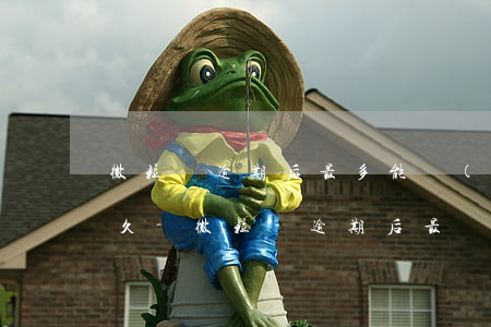 微粒貸逾期后最多能協(xié)商分期多久-微粒貸逾期后最長可以分多少期還款
