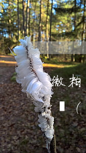 微粒貸逾期后會(huì)被起訴嘛(微粒貸嚴(yán)重逾期后果)