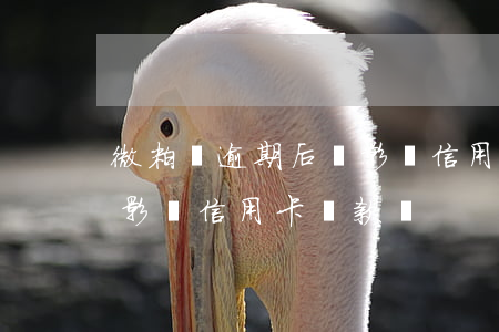微粒貸逾期后會影響信用卡(微粒貸逾期后會影響信用卡還款嗎)