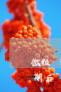 微粒貸逾期后會提前結束分期嗎-微粒貸逾期后會提前結束分期嗎