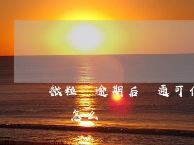 微粒貸逾期后溝通可信嗎(微粒貸拖欠兩個月會怎么樣)