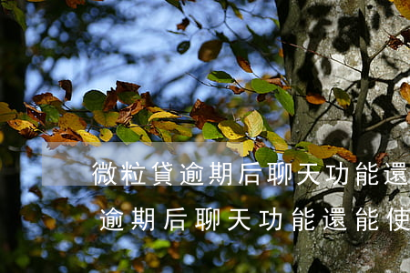 微粒貸逾期后聊天功能還能使用嗎-微粒貸逾期后聊天功能還能使用嗎安全嗎