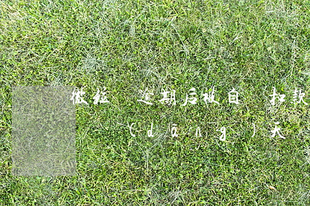 微粒貸逾期后被自動扣款(微粒貸凌晨扣款失敗當(dāng)天還款算逾期么)