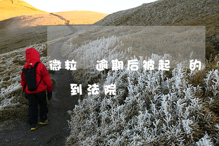 微粒貸逾期后被起訴的還款(微粒貸逾期會起訴到法院嗎)