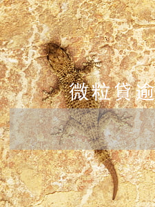 微粒貸逾期后要一次還清