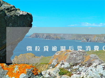 微粒貸逾期后要消費(fèi)憑證