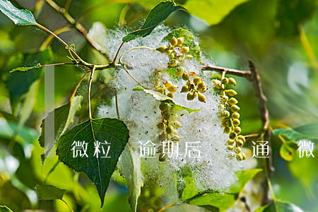 微粒貸逾期后視頻通話(微粒貸逾期后視頻通話)