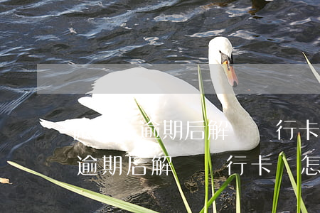 微粒貸逾期后解綁銀行卡會怎么樣-微粒貸逾期后解綁銀行卡會怎么樣嗎