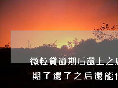 微粒貸逾期后還上之后還能借不-微粒貸逾期了還了之后還能借么