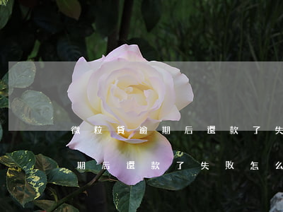 微粒貸逾期后還款了失敗 怎么還-微粒貸逾期后還款了失敗 怎么還款呢
