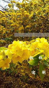 微粒貸逾期后還款了還能有額度嗎-微粒貸逾期后還款了還能有額度嗎怎么辦