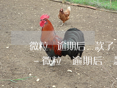 微粒貸逾期后還款了還能繼續(xù)用嗎-微粒貸逾期后還款了還能繼續(xù)用嗎