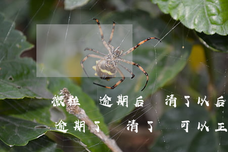 微粒貸逾期后還清了以后還能用嗎-微粒貸逾期了還清了還可以正常使用嗎?