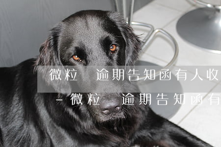 微粒貸逾期告知函有人收到過(guò)嗎-微粒貸逾期告知函有人收到過(guò)嗎是真的嗎