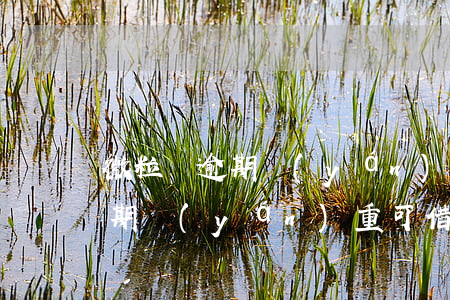 微粒貸逾期嚴(yán)重可借嗎(微粒貸逾期嚴(yán)重可借嗎怎么辦)