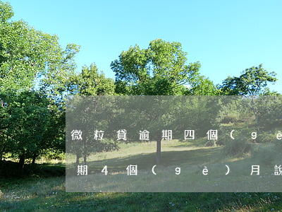 微粒貸逾期四個(gè)月起訴我(微粒貸逾期4個(gè)月 說(shuō)起訴需要多久的時(shí)間)