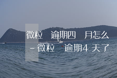 微粒貸逾期四個月怎么協(xié)商還款-微粒貸逾期4天了還上 影響繼續(xù)借錢嗎